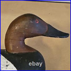 Vintage Upper Bay Maryland Drake Carved Wood Canvasback Duck Hunting Decoy