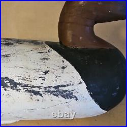 Vintage Upper Bay Maryland Drake Carved Wood Canvasback Duck Hunting Decoy