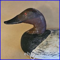 Vintage Upper Bay Maryland Drake Carved Wood Canvasback Duck Hunting Decoy