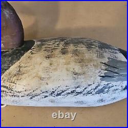 Vintage Upper Bay Maryland Drake Carved Wood Canvasback Duck Hunting Decoy