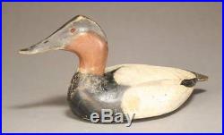 Vintage WARD BROS STYLE 1936 canvasback duck decoys, Crisfield, MD OP