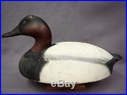 Vintage Wards Wildfowler Canvasback Drake Decoy painted& hand signed by Lem Ward