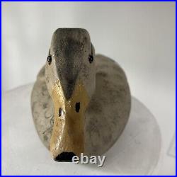 Vintage Wood Mallard Duck Hen Decoy Signed by Miles Smith St Clair River RARE