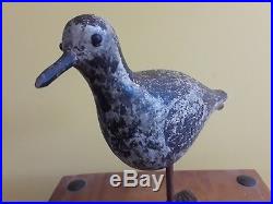 Vintage and Rare Joseph Lincoln Black Bellied Plover Shorebird Decoy OP MA CT NJ