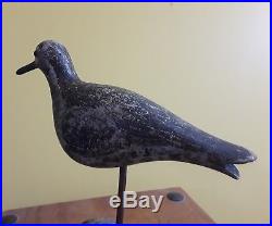 Vintage and Rare Joseph Lincoln Black Bellied Plover Shorebird Decoy OP MA CT NJ