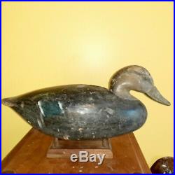 Vintage c1920s Ira Hudson Black Duck Decoy Chincoteague Island, VA Shorebird NJ