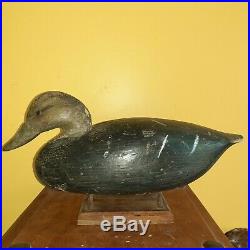 Vintage c1920s Ira Hudson Black Duck Decoy Chincoteague Island, VA Shorebird NJ
