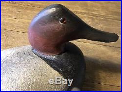 Ward Brothers Duck Decoy 1948 Canvasback Drake. Signed By Lem & Steve Ward
