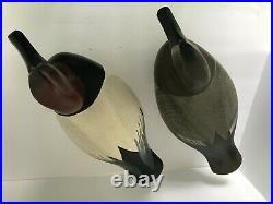 Waterfowl Decoy Canvasback Pair by Capt. Roger Urie