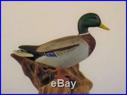 Wendell Gilley Mallard Duck Decoys Maine Original Antique Wooden Goose Shorebird