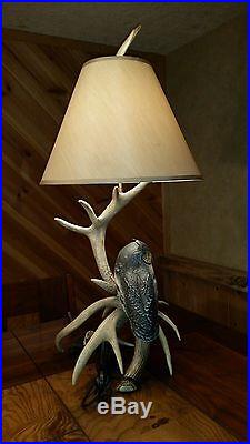 Whitetail antler, antler table lamp, screech owl, duck decoy, Casey Edwards