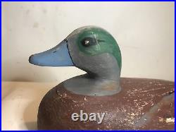 Widgeon duck decoy new jersey delaware river