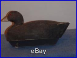 Wildfowler Factory coot or mud hen decoy