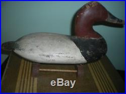 Will Heverin Canvasback Decoy Carpenter's Point Maryland