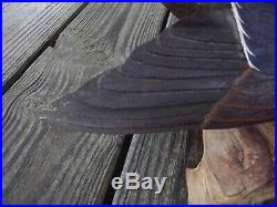 William Veasey Winged Black Duck Hen Decoy Wood Carving on Driftwood Delaware