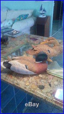 Wood Hand Carved Hand Painted Mallard & Hen Duck Decoy glass eyes 15 & 14