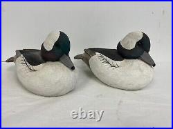 X2 Bufflehead Drake Duck Decoy 8 Signed Shelby'83 Vintage Hand Painted