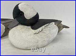 X2 Bufflehead Drake Duck Decoy 8 Signed Shelby'83 Vintage Hand Painted